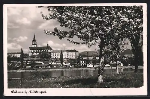 AK Leitmeritz / Litomerice, Teilansicht im Frühling