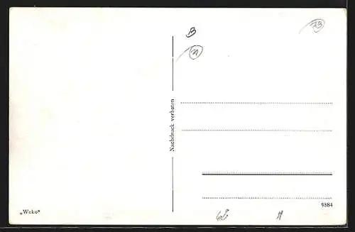 AK Komotau, Springbrunnen im Stadtpark