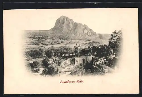 AK Bilin /Sauerbrunn, Blick auf Berglandschaft