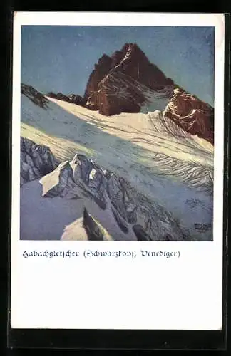 AK Deutscher Schulverein NR 1513: Künstler Bruno Hess, Blick über den Habachgletscher