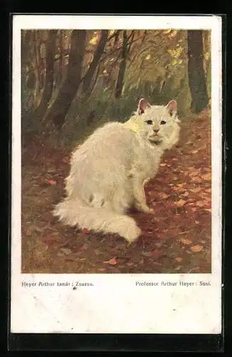 Künstler-AK Arthur Heyer: Katze Susi im Herbstwald