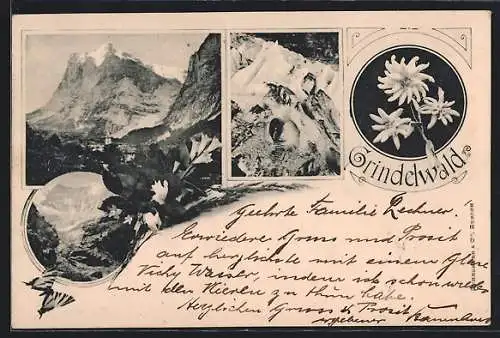 AK Grindelwald, Ortsansicht im Bergidyll, Höhleneingang, Edelweiss