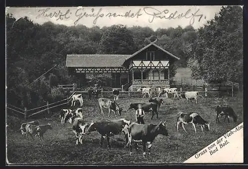 AK Bad Boll, Die Vieh-Alm, Kühe auf der Weide