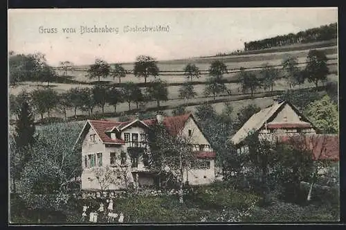 AK Sasbachwalden, Häuser am Bischenberg