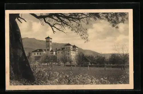 AK Lochau b. Bregenz, Salvatorianerkolleg