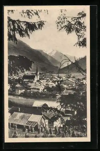 AK Bruck a. d. Glocknerstrasse, Ortsansicht gegen die Berge