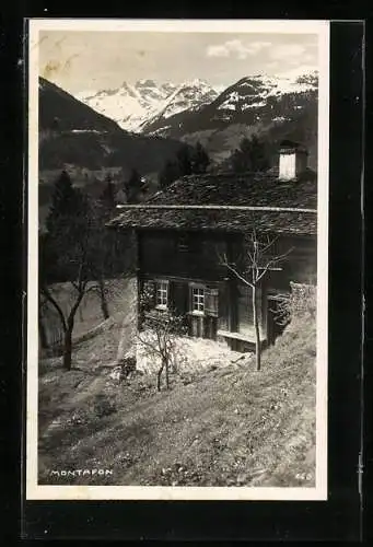 AK Montafon, Die Hütte im Bergidyll