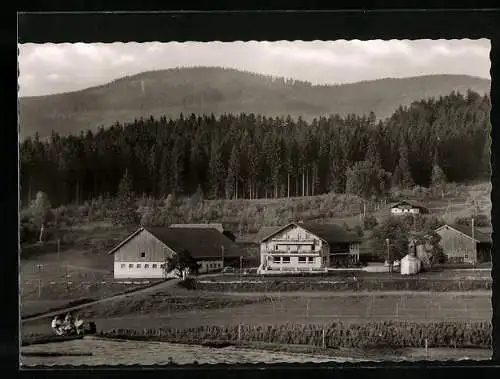 AK Bodenmais / Bayer.Wald, Panorama mit Blick auf Gasthof-Pension Böhmhof