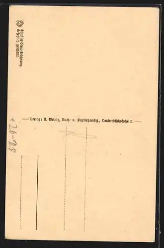 Steindruck-AK Tauberbischofsheim, Ansicht vom alten Schloss