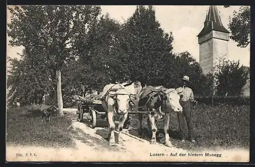 AK Luzern, Bauer mit Ochsengespann auf der hinteren Musegg