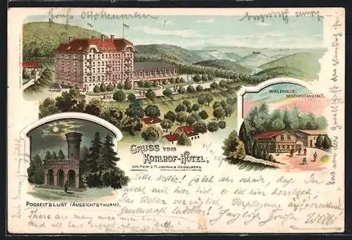 Lithographie Heidelberg, Kohlhof Hotel, Waldhaus-Milchkuranstalt, Posselt`s Lust Aussichtsturm
