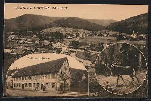 AK Enzklösterle, Gasthaus Zum Hirsch, Hirsch, Ortsansicht und Umgebung