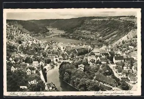 AK Sulz a. Neckar, Blick vom gähnenden Stein