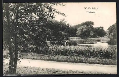 AK Wolfenbüttel, Wallpartie