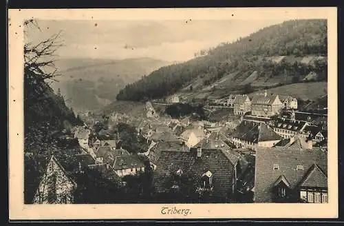 AK Triberg, Ortsansicht