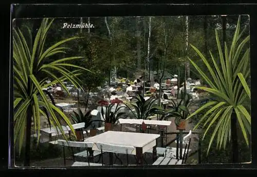 AK Reichenbrand, Gaststätte Pelzmühle A. Peter, Garten