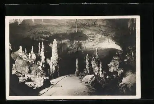 AK Trieste, Grotte di Postumia, Viale delle colonne