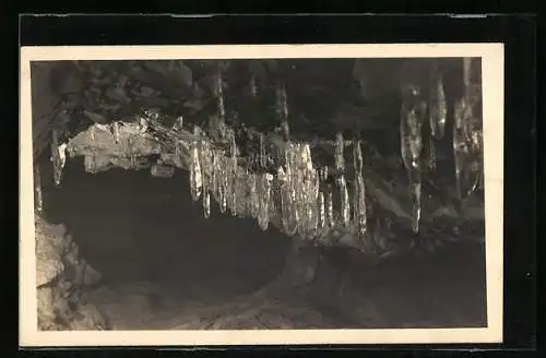 AK Werfen /Salzburg, Eisriesenwelt, Eismandlwald im Wimur