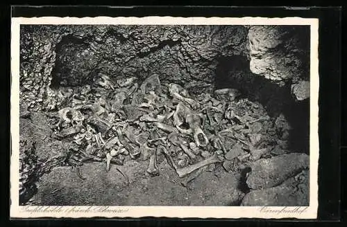 AK Fränkische Schweiz, Teufelshöhle, Bärenfriedhof