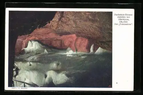 AK Dachstein-Rieseneishöhle, der Tristandom