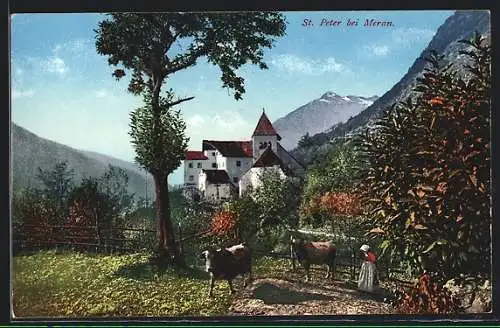 AK St. Peter, Blick zum Ort