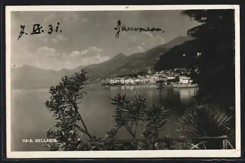 AK Bellagio, Panorama
