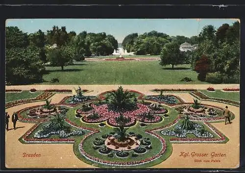 AK Dresden, Kgl. Grosser Garten mit Blumen und Palmen