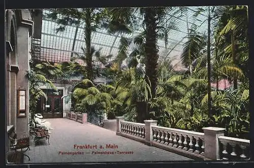 AK Frankfurt-Westend, Palmengarten, Palmenhaus-Terrasse
