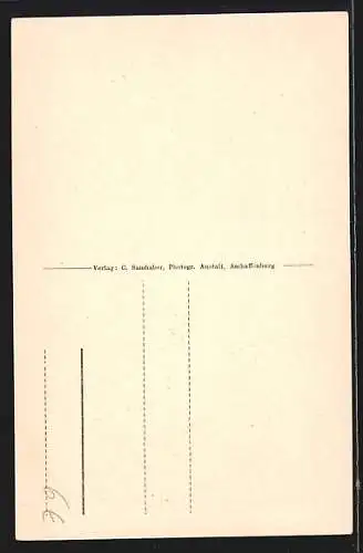 AK Aschaffenburg, Haus am Stiftsplatz aus dem Mittelalter um 1580, Erneuert 1925