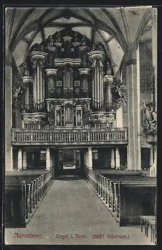 AK Merseburg, Orgel im Dom