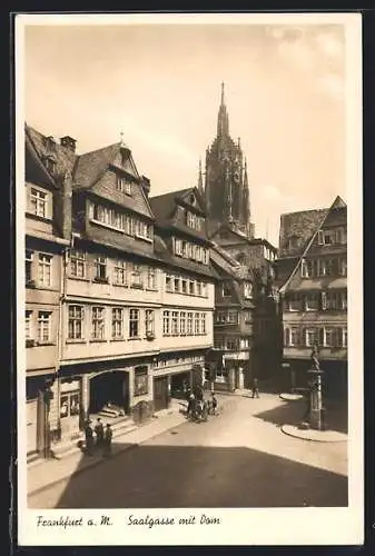 AK Alt-Frankfurt, Strasse Saalgasse mit Dom