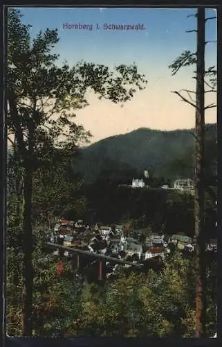 AK Hornberg i. Schwarzwald, Teilansicht mit Bäumen