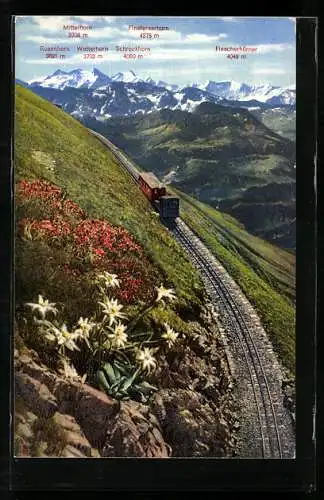 AK Brienzer Rothorn, Bergbahn gegen die Berner Hochalpen