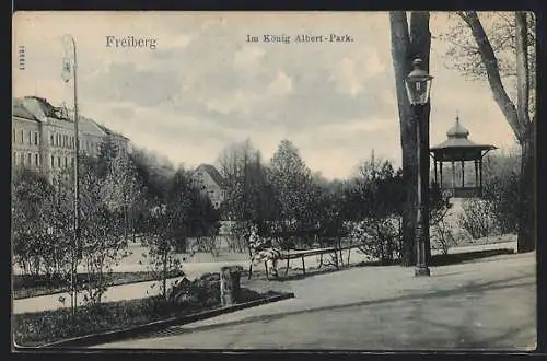 AK Freiberg / Sa., Pavillon im König Albert-Park
