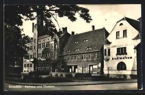 AK Bitterfeld, Rathaus und Museum
