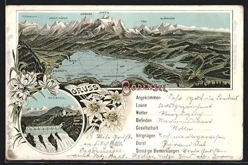 Lithographie Schaffhausen, Rheinfall, Panorama von Bodensee un Gebirge
