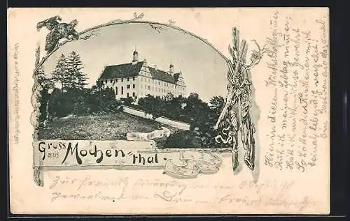 AK Ehingen / Donau, Blick zum Schloss Mochenthal