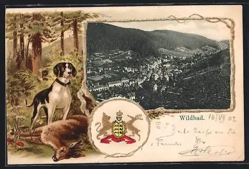 Passepartout-Lithographie Wildbad / Württ, Gesamtansicht aus der Vogelschau, Jagdhund mit geschossenem Reh, Präge-Wappen