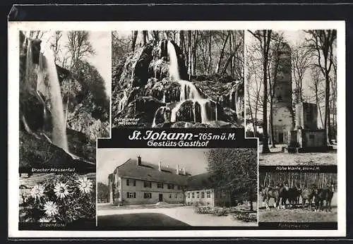 AK St. Johann / Würtingen, Gestütsgasthof, Gütetsteiner Wasserfall, Hohe Warte, Fohlenweide