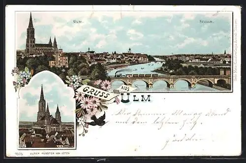 Lithographie Ulm / Donau, Münster von Osten, Totalansicht mit Neuulm