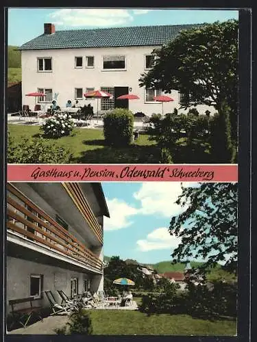 AK Schneeberg / Odw., Gasthaus & Pension Odenwald