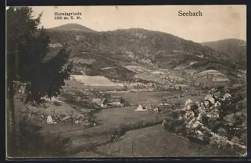 AK Seebach / Schwarzwald, Gesamtansicht mit Blick auf Hornisgrinde