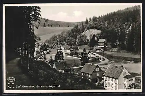 AK Wildemann /Harz, Ortsansicht mit Wanderweg aus der Vogelschau