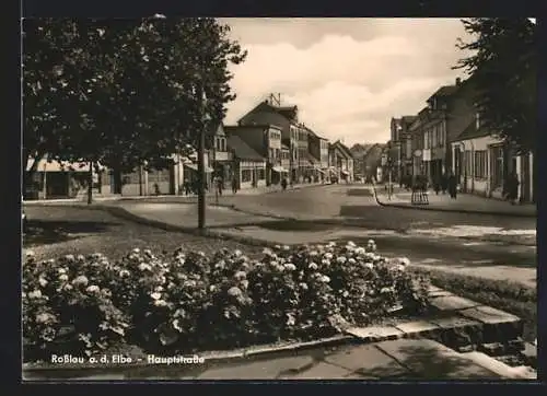 AK Rosslau a. d. Elbe, Idyll an der Hauptstrasse