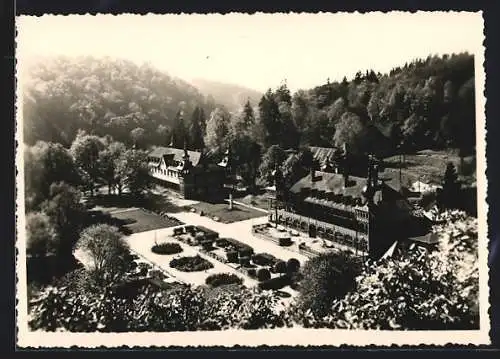 AK Alexisbad /Harz, Erholungsheime und Parkanlagen