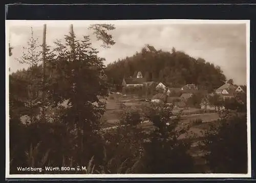 AK Waldburg /Württ., Ortsansicht von einer Anhöhe aus