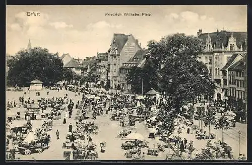 AK Erfurt, Friedrich Wilhelm-Platz mit Marktbetrieb