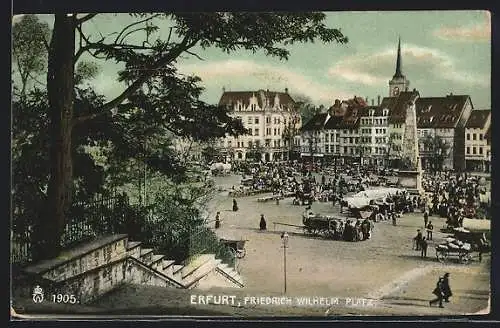AK Erfurt, Markttreiben am Friedrich Wilhelm-Platz