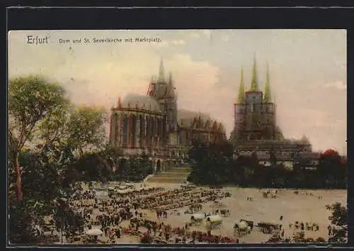 AK Erfurt, Dom und St. Severikirche mit Marktplatz