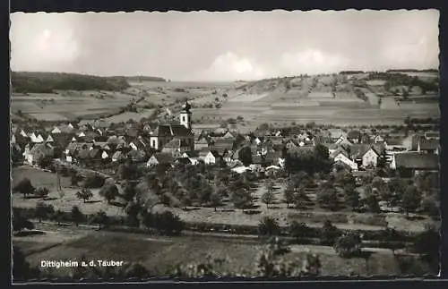 AK Dittigheim a. d. Tauber, Totalansicht im Panorama